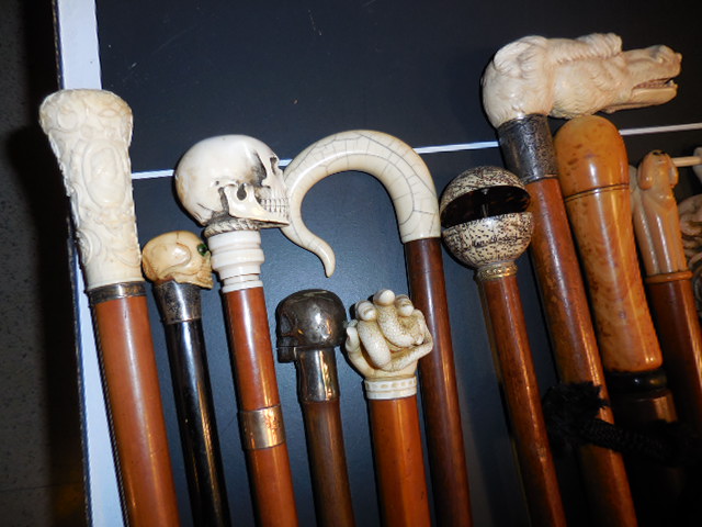 The Henry Foster Cane Collection - DSCN0003.JPG
