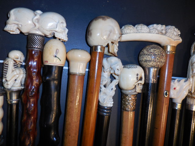 The Henry Foster Cane Collection - DSCN0005.JPG
