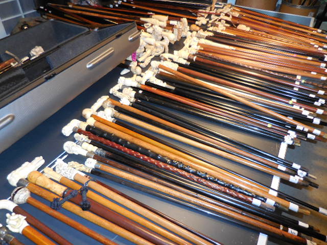 The Henry Foster Cane Collection - DSCN0027.JPG
