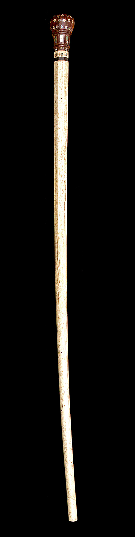 Antique and Quality Modern Cane Auction - 7b.jpg