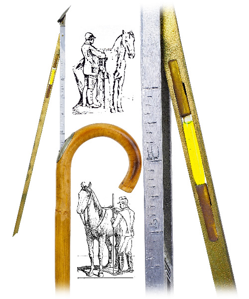 Masterpiece Cane Auction - 101_1.jpg