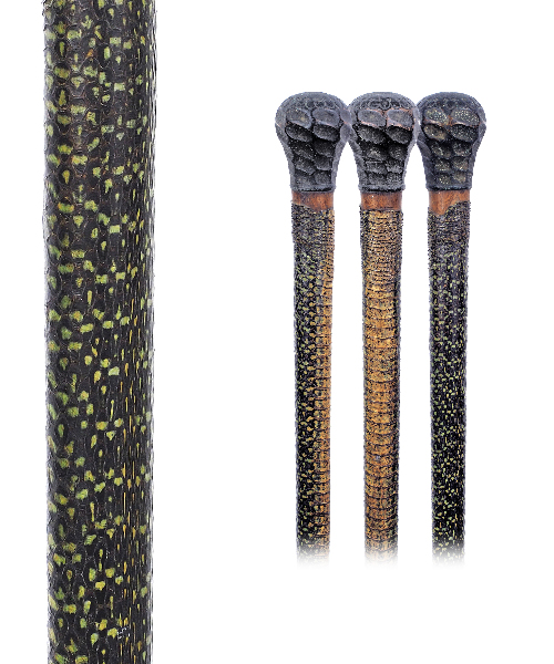 Masterpiece Cane Auction - 130_1.jpg
