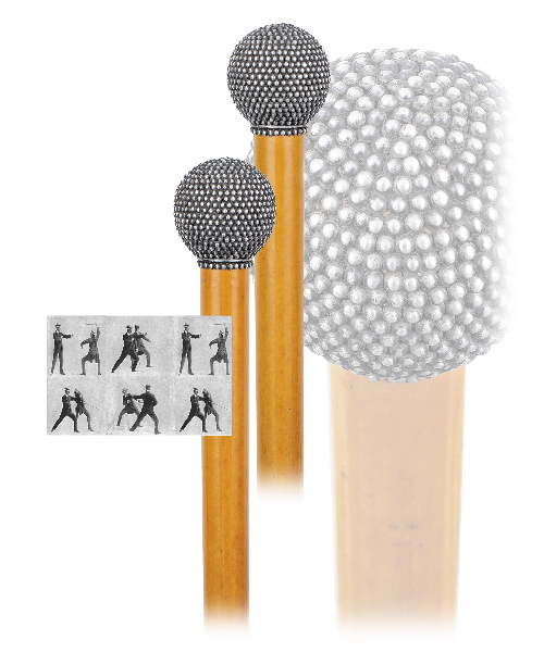 Masterpiece Cane Auction - 88_1.jpg