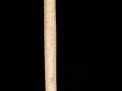 Antique and Quality Modern Cane Auction - 1b.jpg