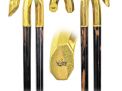 Masterpiece Cane Auction - 82_1.jpg
