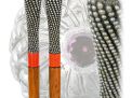 Masterpiece Cane Auction - 8_1.jpg